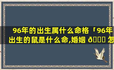 96年的出生属什么命格「96年出生的鼠是什么命,婚姻 💐 怎 🍁 样」